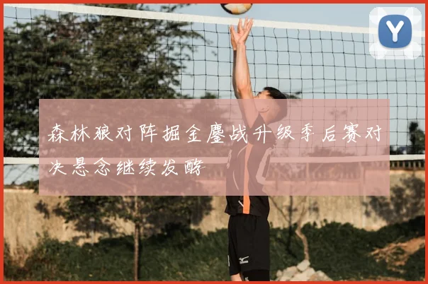 森林狼对阵掘金鏖战升级季后赛对决悬念继续发酵