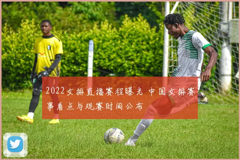2022女排直播赛程曝光 中国女排赛事看点与观赛时间公布