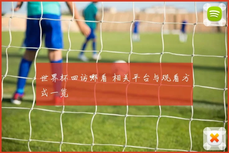 世界杯回访哪看 相关平台与观看方式一览