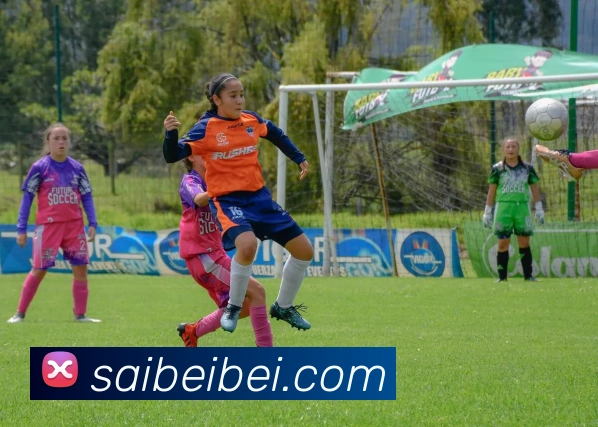 世界杯平台官网登录APP 高清赛事图